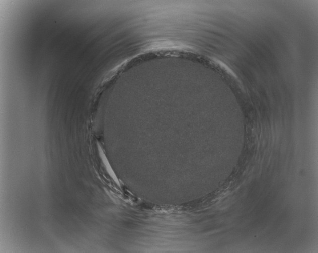 X0000069800775200605261722