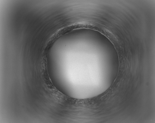 X0000069800776200605261722