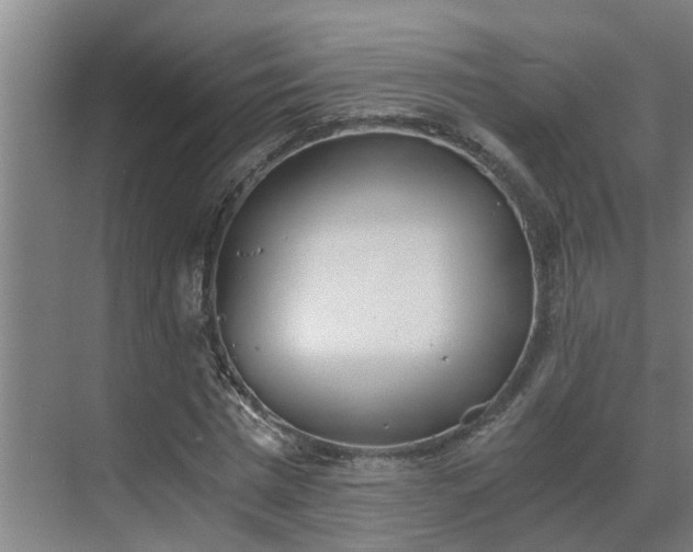 X0000069800777200605261722