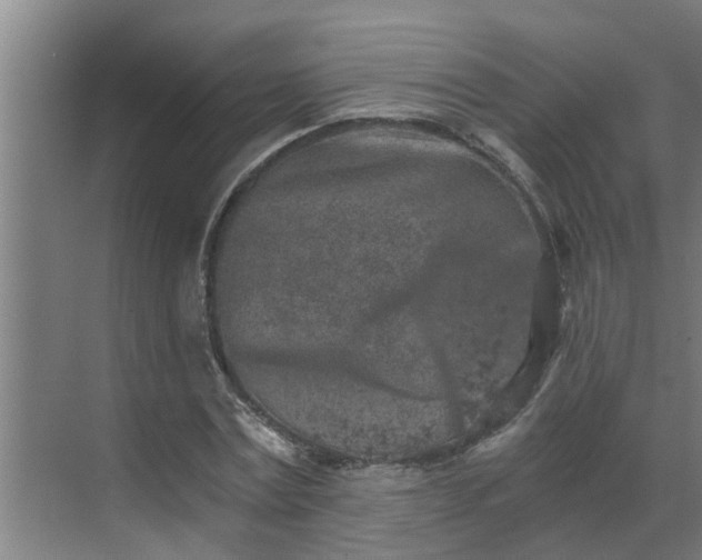 X0000069800779200605261721