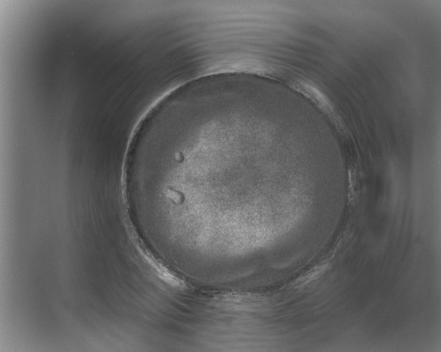 X0000069800780200605261721