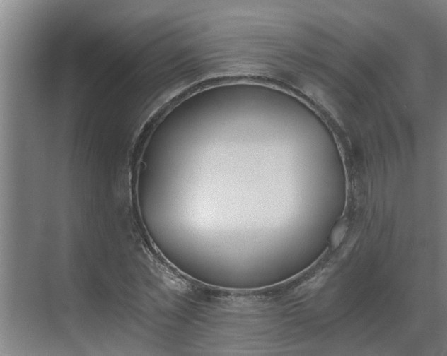 X0000069800781200605261721