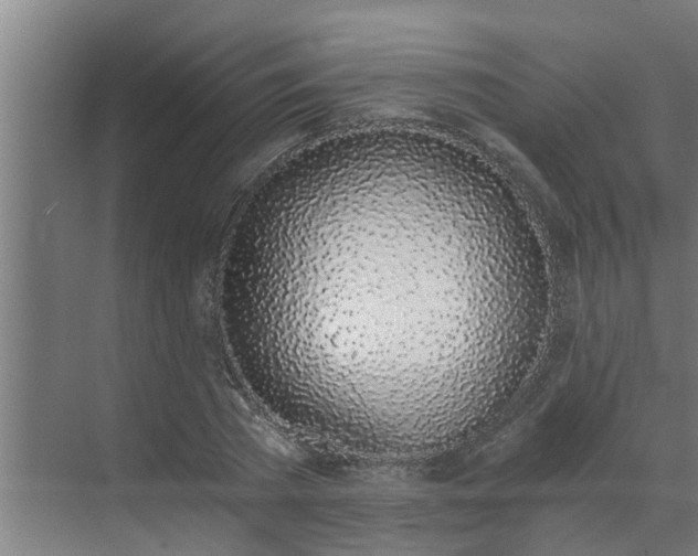 X0000069800785200605261721