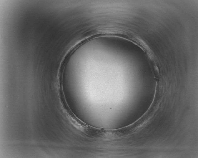 X0000069800787200605261721