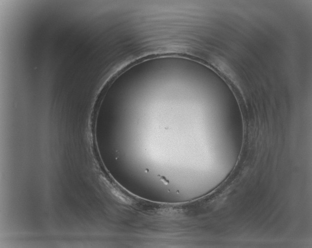 X0000069800789200605261721