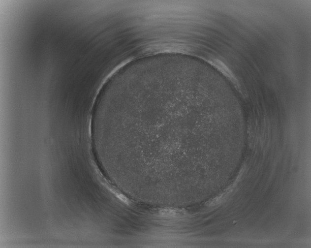 X0000069800790200605261721