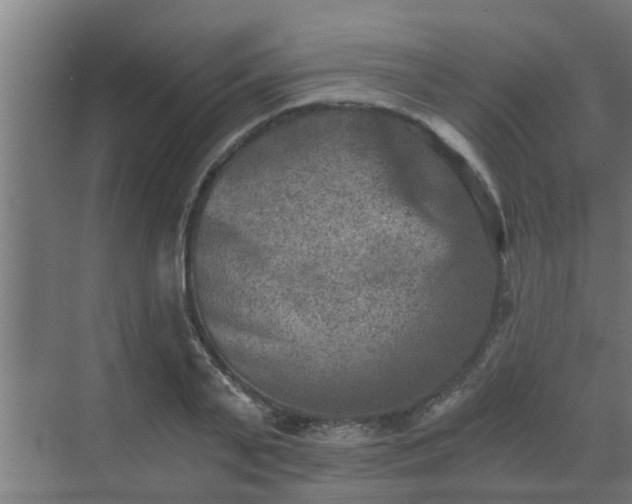 X0000069800791200605261721