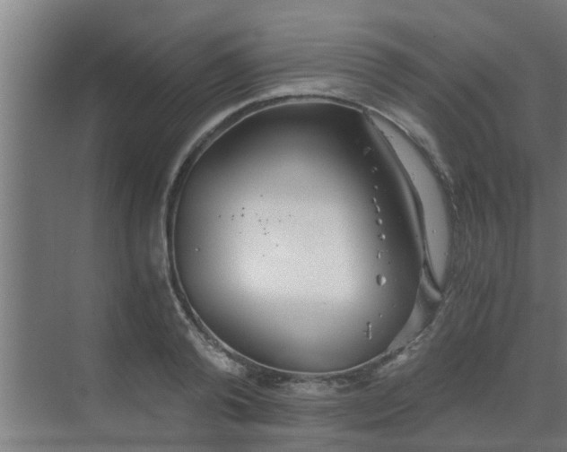 X0000069800792200605261721