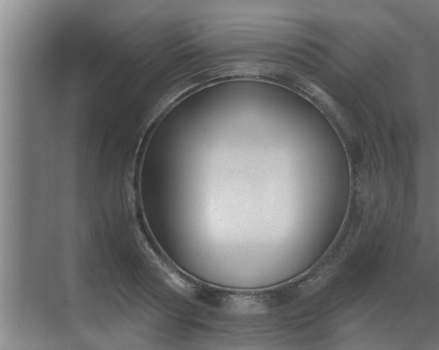 X0000069800794200605261721