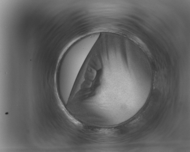 X0000069800796200605261721