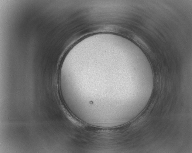 X0000069800800200605261721