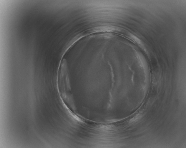 X0000069800802200605261721