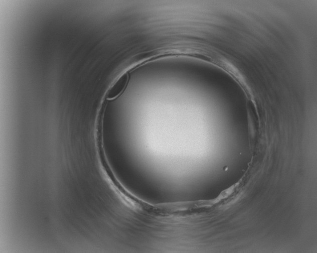 X0000069800803200605261721