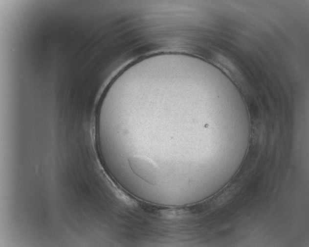 X0000069800804200605261721