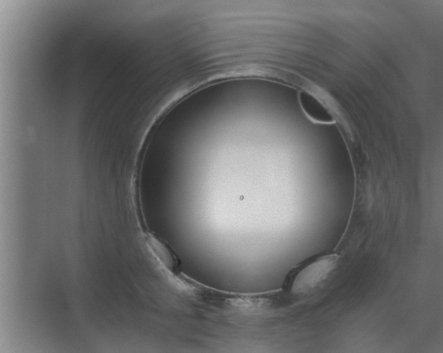 X0000069800805200605261721