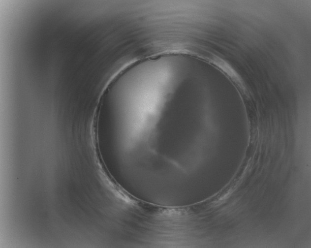 X0000069800806200605261721