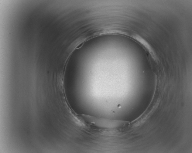 X0000069800809200605261721