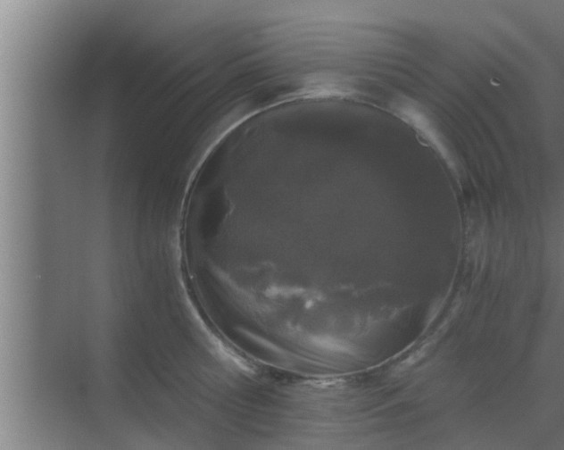 X0000069800810200605261721