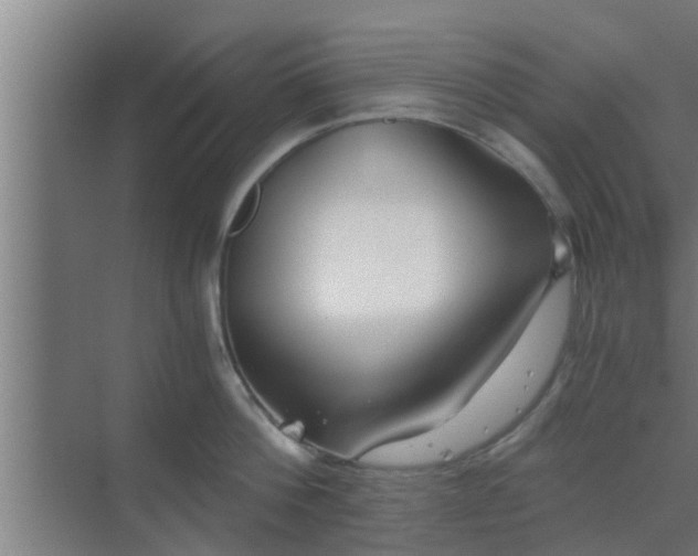 X0000069800812200605261721