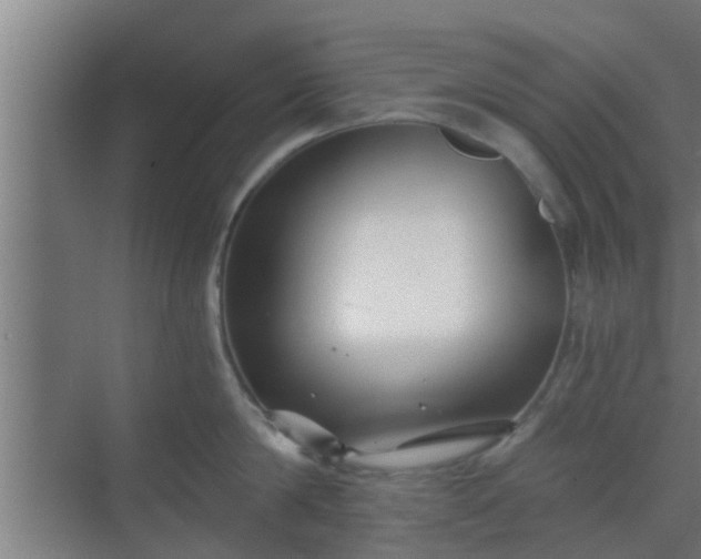 X0000069800814200605261721