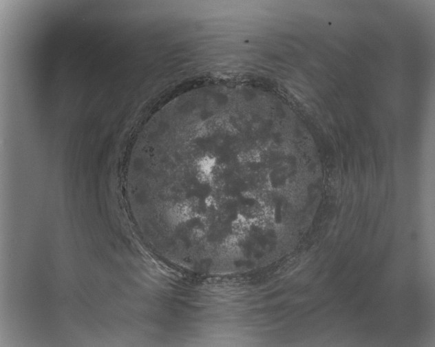 X0000069800817200605261720