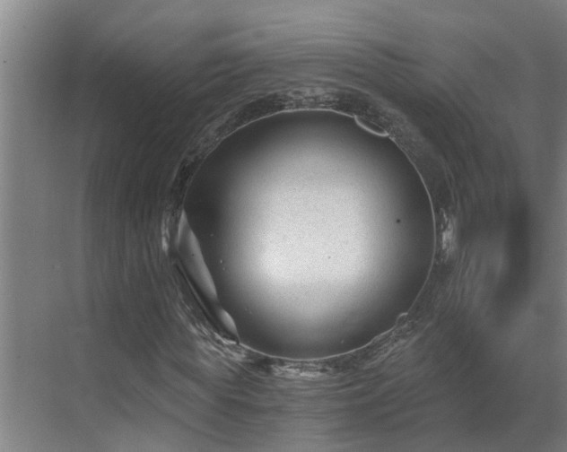 X0000069800819200605261720