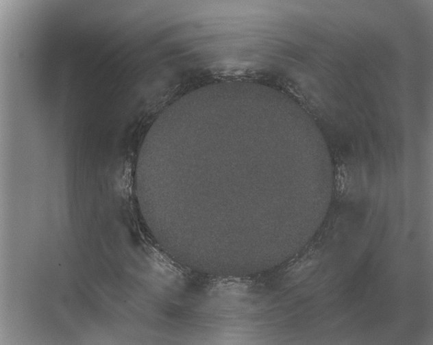 X0000069800820200605261720