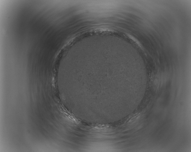 X0000069800823200605261720