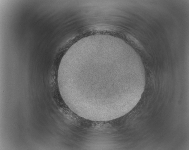 X0000069800824200605261720