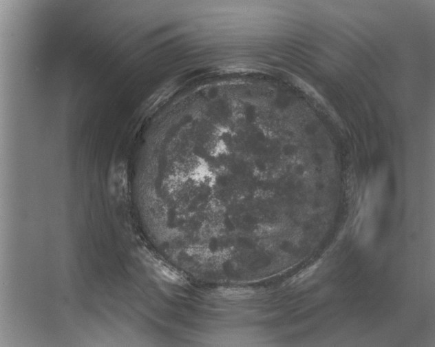 X0000069800825200605261720