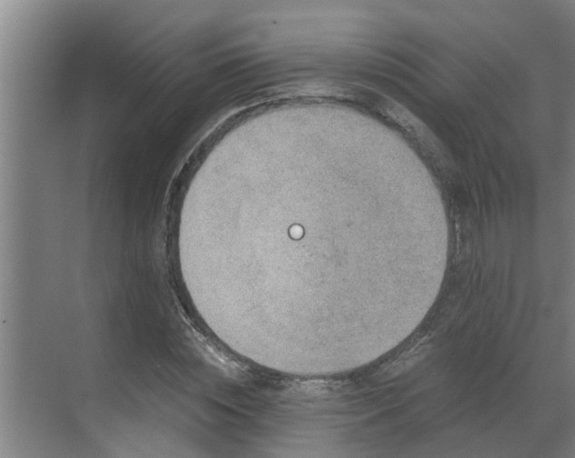 X0000069800828200605261720