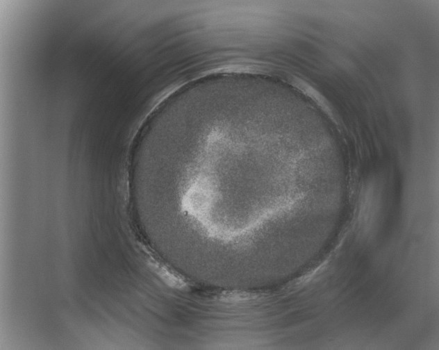 X0000069800829200605261720