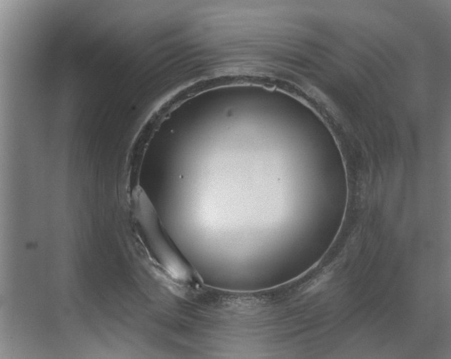 X0000069800830200605261720