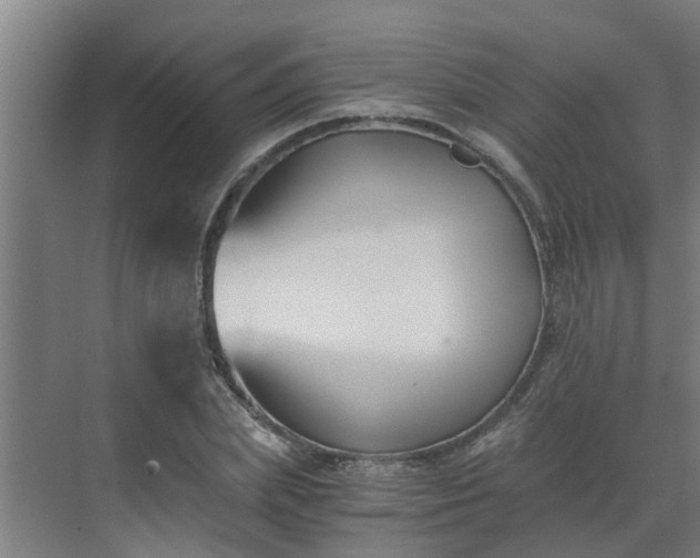 X0000069800831200605261720