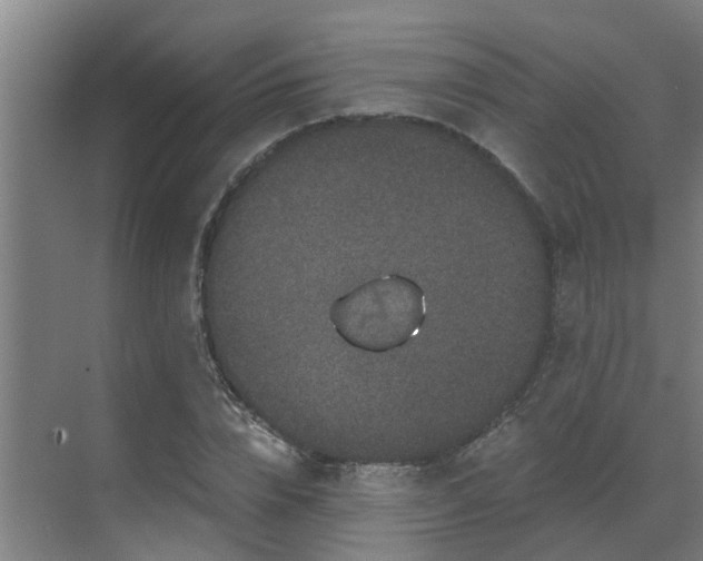 X0000069800832200605261720