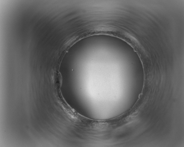 X0000069800833200605261720