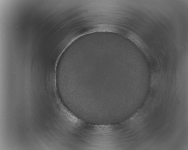 X0000069800836200605261720