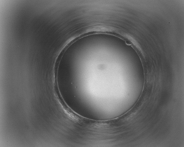 X0000069800837200605261720