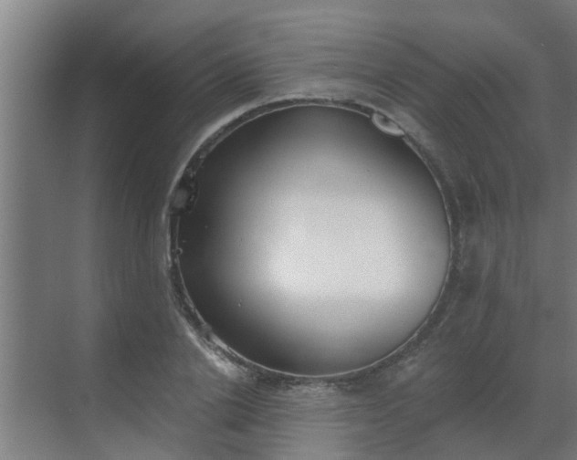 X0000069800838200605261720