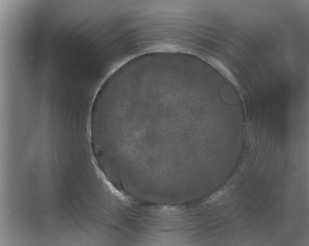 X0000069800839200605261720