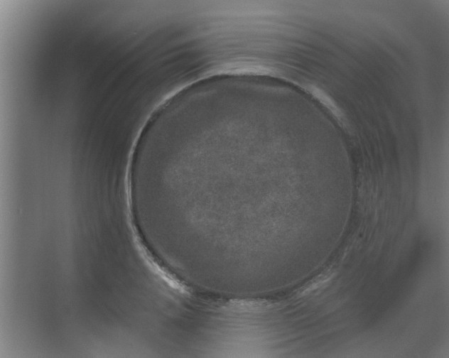 X0000069800840200605261720