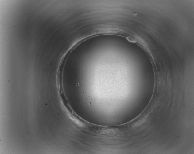 X0000069800843200605261720