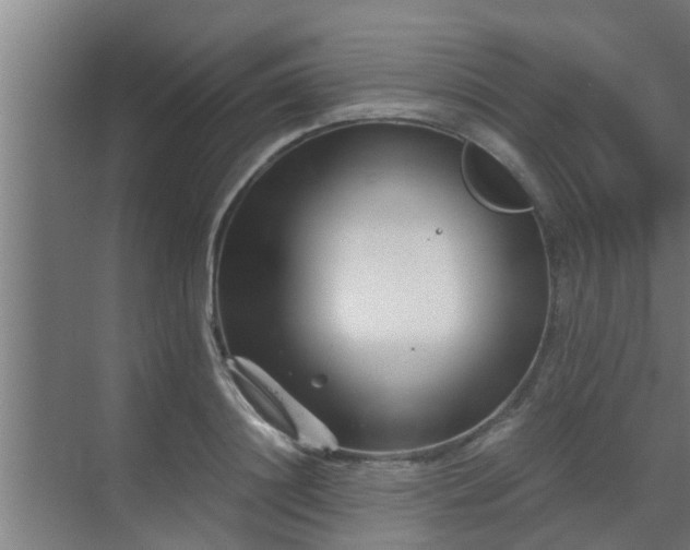 X0000069800844200605261720