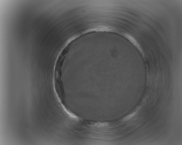 X0000069800845200605261721