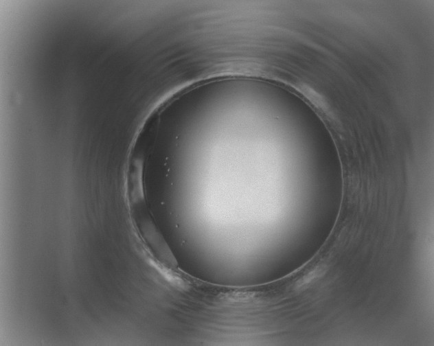 X0000069800846200605261721