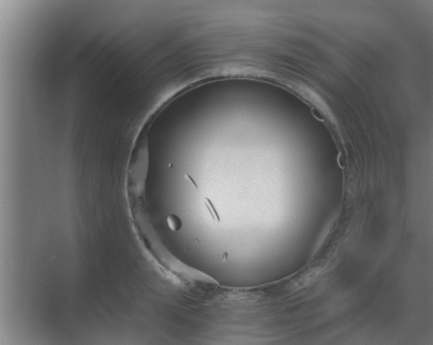 X0000069800847200605261721