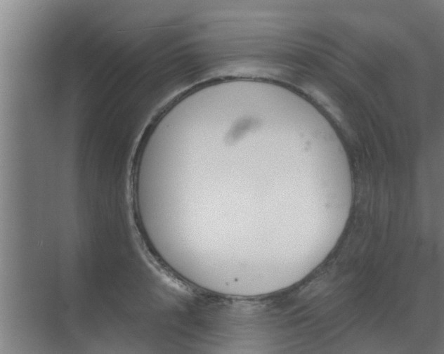 X0000069800848200605261721