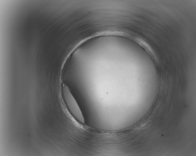 X0000069800852200605261721