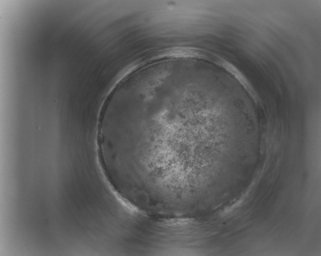 X0000069800853200605261721