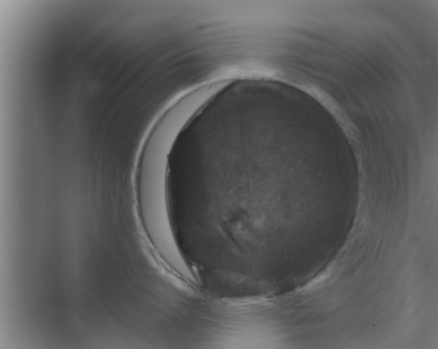 X0000069800864200605261721